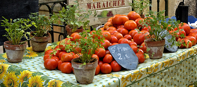 Saint Pierre Tomatoes